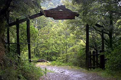 Gridiron Sign - Kahurangi National Park