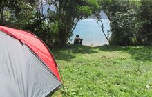 Blumine Island/Oruawairua Campsite . Blumine Island Scenic Reserve