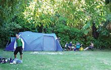 Camp Bay Campsite . Queen Charlotte Sound/Tōtaranui area