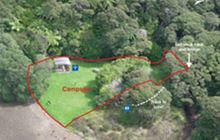 The Green Campsite . Great Barrier Island/Aotea