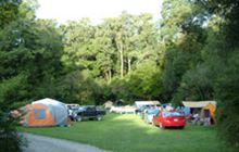 Pelorus Bridge Campground . Pelorus Bridge Scenic Reserve