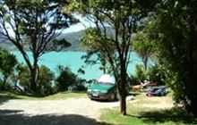 Picnic Bay Campsite . Pelorus Sound/Te Hoiere and Kenepuru Sound area