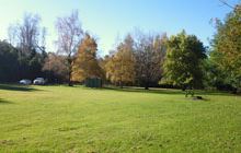 Pioneer Park Campsite . Pioneer Park Conservation Area