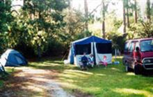 Puketi Recreation Area Campsite . Puketi and Omahuta Forests