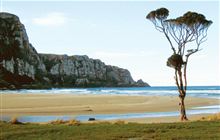 Purakaunui Bay Campsite . Catlins coastal area