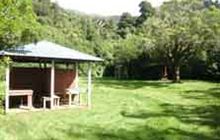 Tamaki West Campsite . Ruahine Forest Park