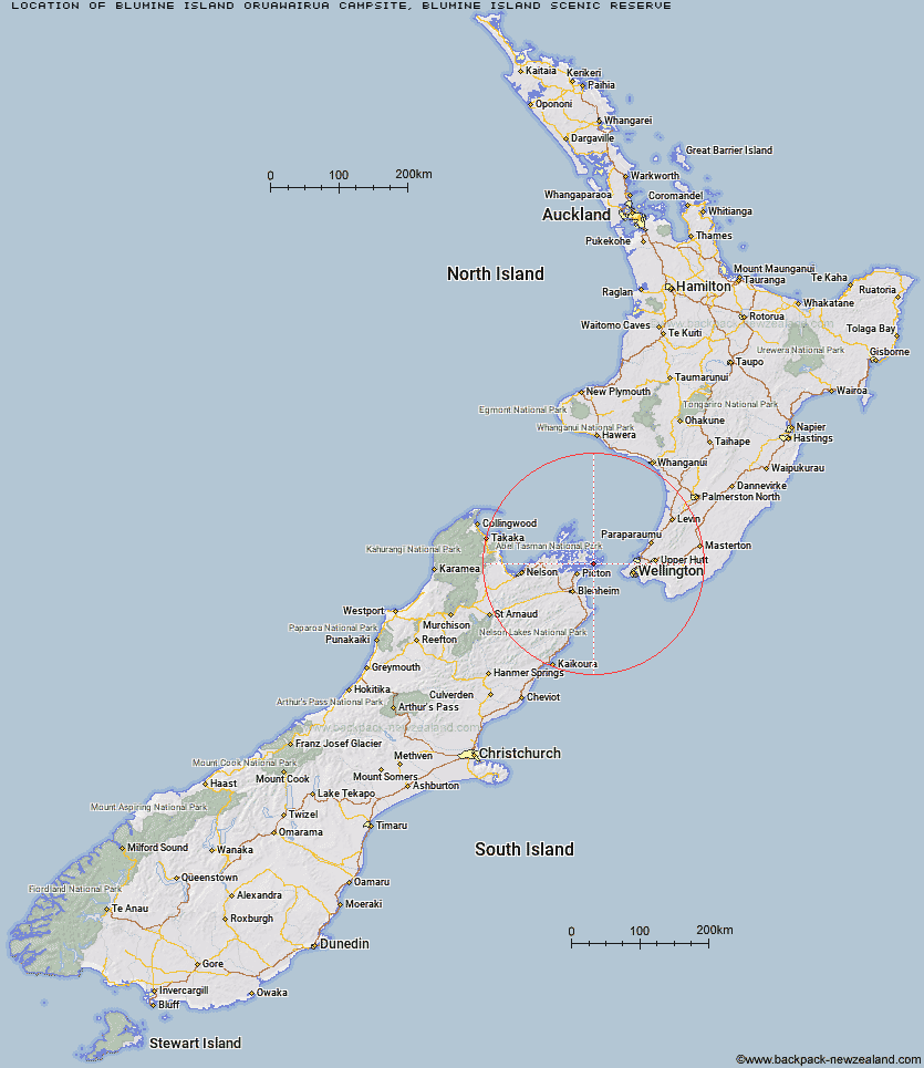 Blumine Island/Oruawairua Campsite Map New Zealand
