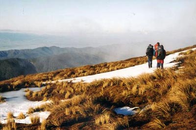 Bull Mound Tararua New Zealand Track