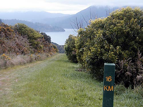 Tramping Queen Charlotte Track