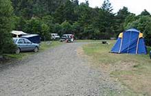 Hotoritori Campsite . Coromandel Forest Park and Kauaeranga Valley
