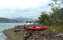 Pipi Beach Campsite . Pelorus Sound/Te Hoiere and Kenepuru Sound area