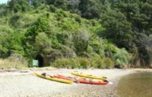 Tawa Bay Campsite . Pelorus Sound/Te Hoiere and Kenepuru Sound area