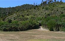 Tinline Campsite . Abel Tasman National Park