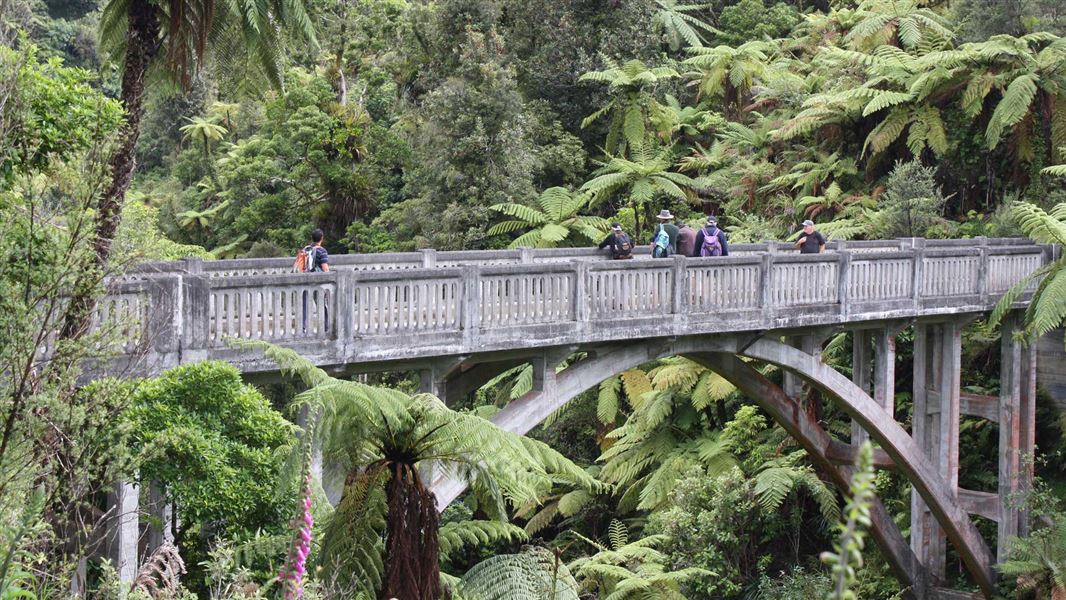Bridge To Nowhere Walk picture New Zealand