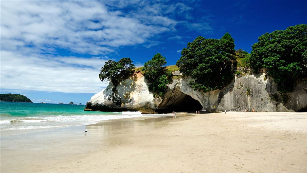 Cathedral Cove Walk picture New Zealand
