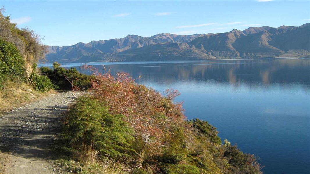 Dingle Burn Peninsula Track picture New Zealand