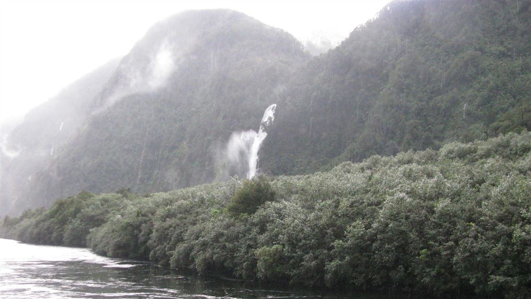 Helena Falls Track picture New Zealand