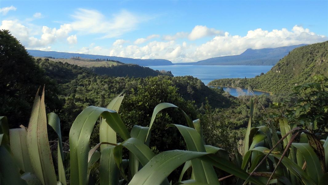 Tarawera Trail picture New Zealand