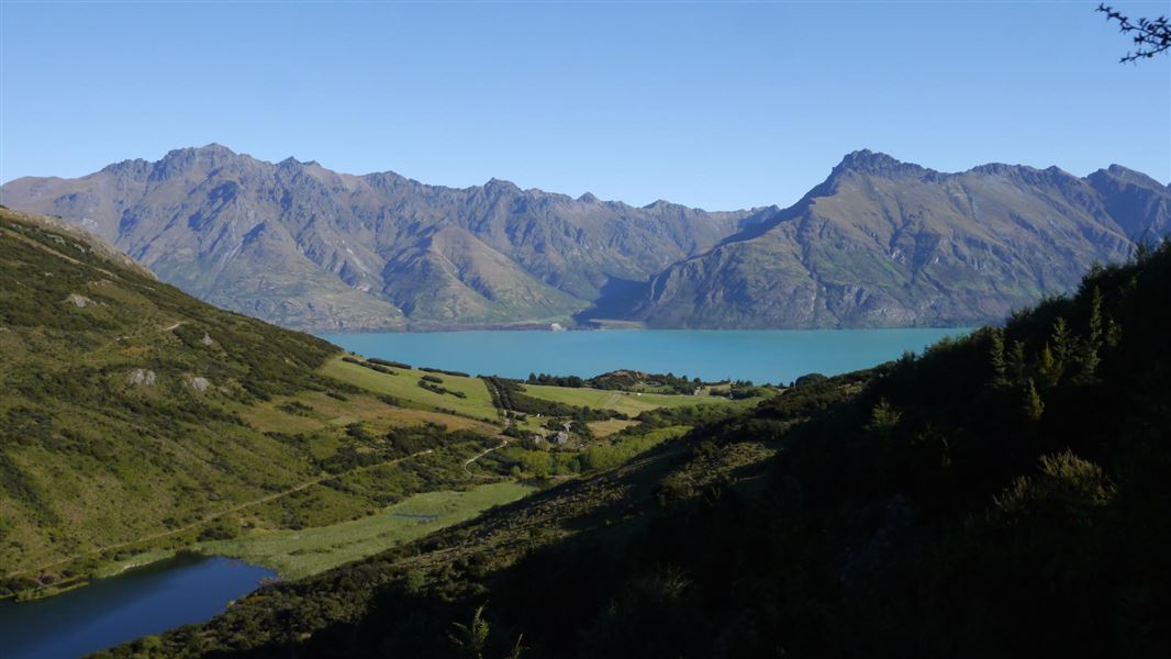 Mt Crichton Loop Track picture New Zealand