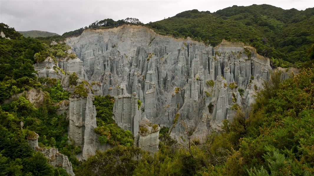Pinnacles Track picture New Zealand