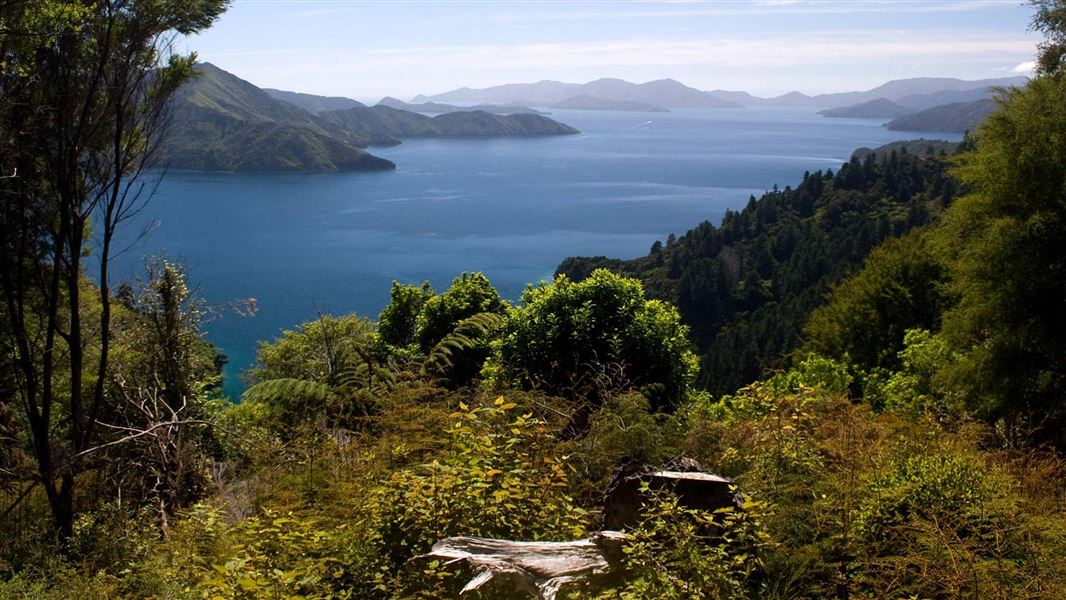 Queen Charlotte Track picture New Zealand