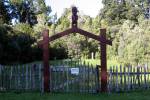 maori graveyard