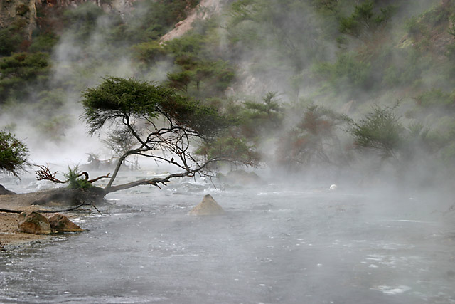 Rotorua Photo New Zealand